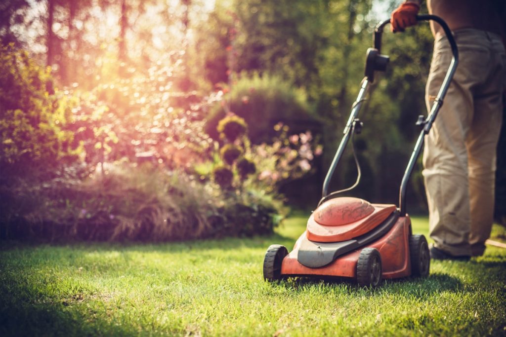 Aménagement extérieur