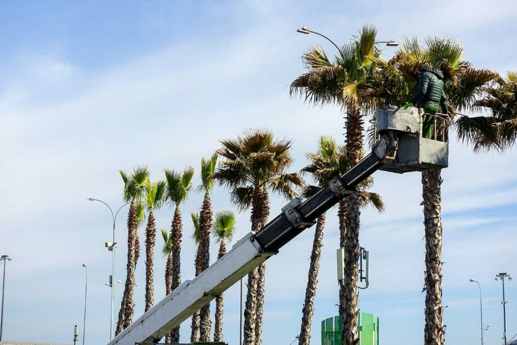 Aménagement extérieur