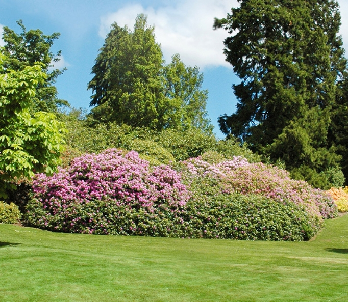 Paysagiste À Carquefou, ThouaréSurLoire, SainteLuceSurLoire 44