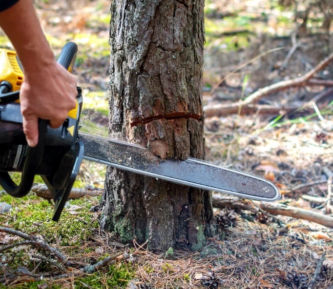 Aménagement extérieur