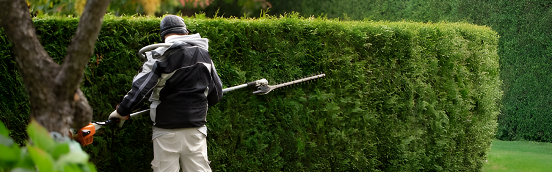 Paysagiste au Cellier